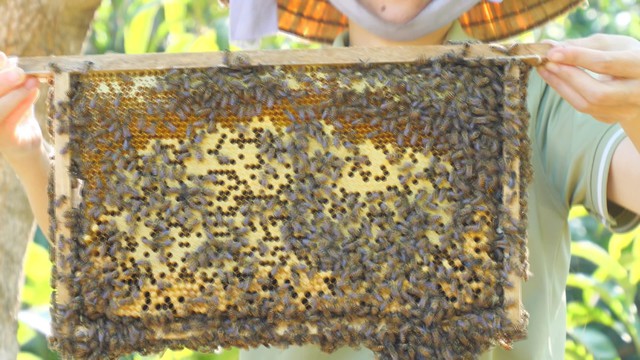 Hồi sinh vùng quê từ mô hình "Ngôi làng của chính mình" - Ảnh 4.