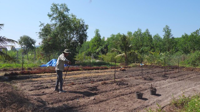 Hồi sinh vùng quê từ mô hình "Ngôi làng của chính mình" - Ảnh 2.