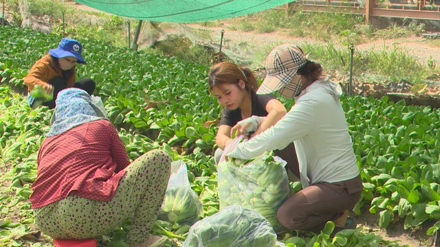 Lan tỏa giá trị nhân văn từ mô hình hỗ trợ cộng đồng - Ảnh 1.