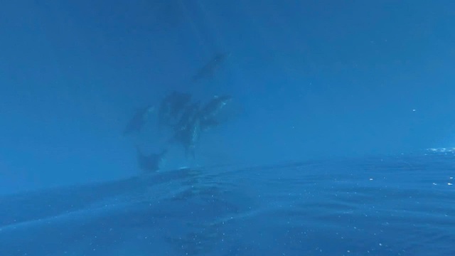 60 Giây 7/4/2026 | Khởi tố vụ án vi phạm quy định kế toán tại Bảo Tín Minh Châu - Ảnh 3.