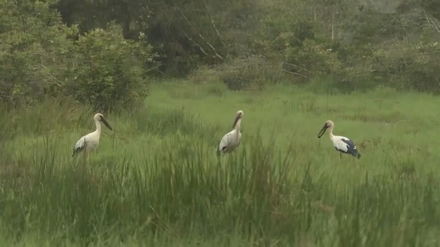 60 Giây ngày 9/4/2026 | Mưu sinh giữa “chảo lửa” TP. Hồ Chí Minh - Ảnh 3.