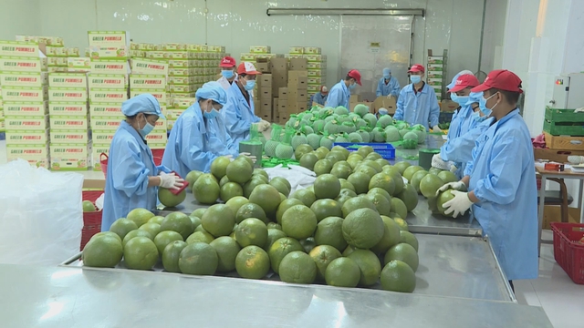 60 Giây ngày 21/5/2026 | Liên kết sản xuất - thị trường, giải bài toán đầu ra cho nông sản - Ảnh 1.