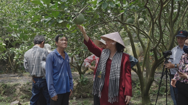 Chanh và bưởi Việt Nam mở rộng thị trường xuất khẩu sang Trung Quốc  - Ảnh 1.