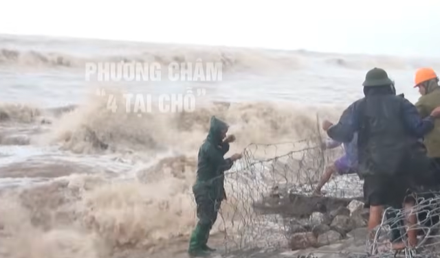 vươn khơi   - Ảnh 5.