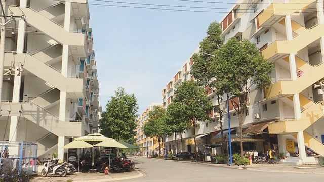 Vươn khơi - Ngày 4/5/2026 | Tăng cường hướng dẫn kỹ năng lái xe gắn máy an toàn cho học sinh - Ảnh 3.