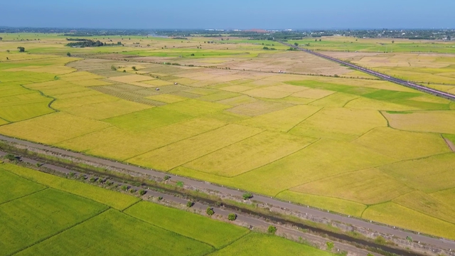 60 Giây ngày 8/5/2026 | Đồng bằng sông Cửu Long: Muốn giảm dần lệ thuộc vào cây lúa - Ảnh 1.