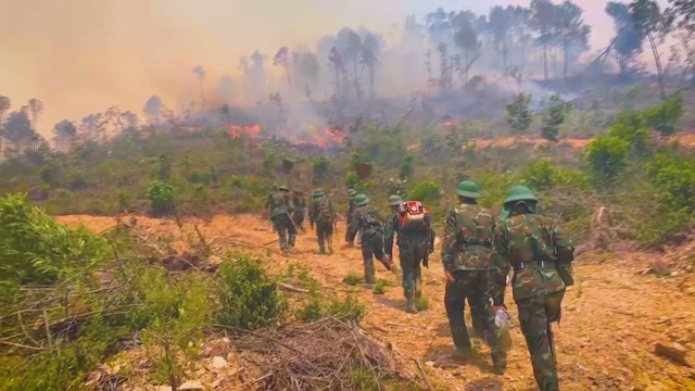 60 Giây Trưa ngày 23/6/2026 | Giá heo hơi hôm nay (23-6): tiếp tục điều chỉnh giảm. - Ảnh 2.