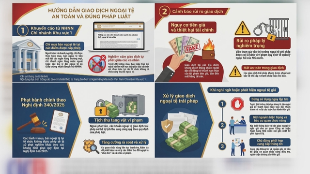 60 Giây ngày 23/6/2026 | Viết tiếp hành trình đưa đàn sếu trở về Tràm Chim - Ảnh 5.