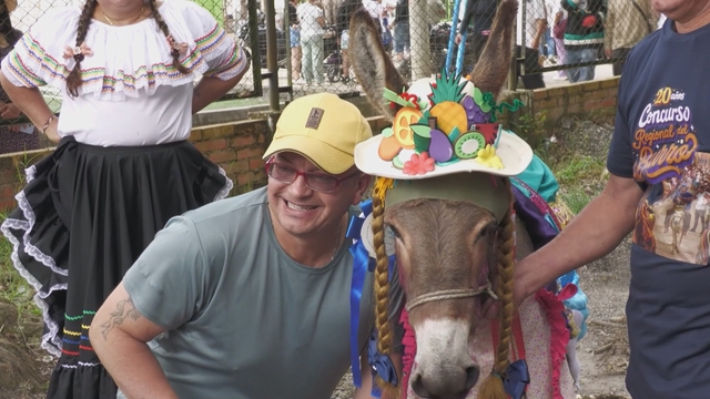 Sôi động Lễ hội Lừa tại Colombia - Ảnh 1.