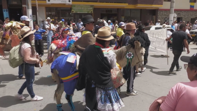 Sôi động Lễ hội Lừa tại Colombia - Ảnh 4.