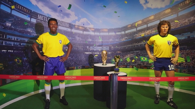 Cá mập dự đoán kết quả của tuyển Brazil tại World Cup- Ảnh 2.