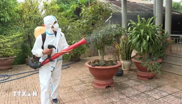 Phạt tới 10 triệu đồng nếu cản trở phun thuốc diệt muỗi tại TP. Hồ Chí Minh - Ảnh 1.
