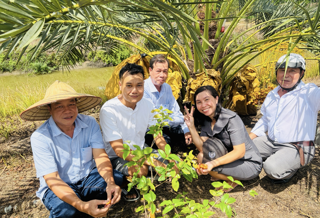 Chàng kỹ sư IT rời Singapore về Đồng Tháp khởi nghiệp với vườn "Chà là Nữ hoàng" độc lạ giữa miền Tây - Ảnh 1.