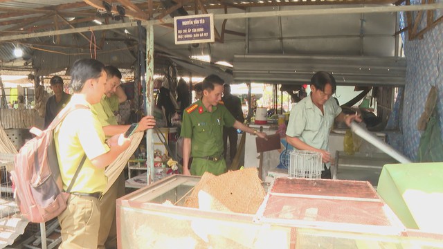 60 Giây Sáng ngày 15/7/2026 | Tăng cường bảo vệ động vật hoang dã - Ảnh 1.