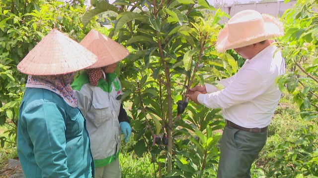Vươn khơi - Ngày 15/7/2026 | Dệt may nỗ lực duy trì đà tăng trưởng xuất khẩu- Ảnh 4.
