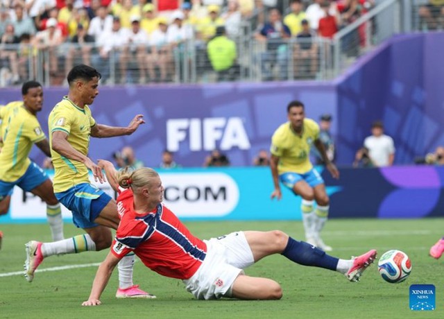 Hành trình 8 năm phát triển mặt cỏ sân chung kết World Cup 2026- Ảnh 1.