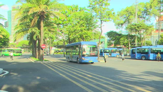 TP. Hồ Chí Minh miễn phí vé trên 134 tuyến xe buýt nội tỉnh - Ảnh 1.