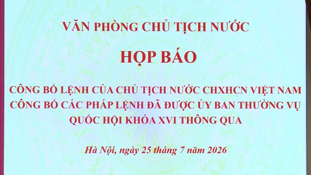 Công bố 3 pháp lệnh mới, bổ sung chính sách ưu đãi người có công với cách mạng - Ảnh 1.