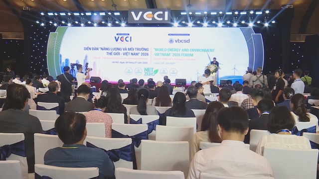 Việt Nam thúc đẩy chuyển dịch xanh, hiện thực hóa mục tiêu phát thải ròng bằng "0" - Ảnh 1.