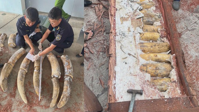 60 giây sáng ngày 13/8/2026 | TP. Đồng Nai ra lệnh phá dỡ khẩn cấp gần 500 mét vuông nhà lồng trung tâm thương mại  - Ảnh 4.