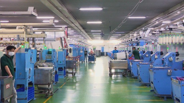 Vươn Khơi - Ngày 15/8/2026 | Doanh nghiệp nỗ lực vượt khó đẩy mạnh sản xuất - Ảnh 1.