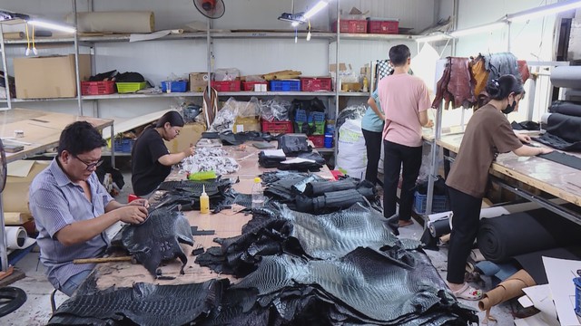 Vươn Khơi - Ngày 17/8/2026 | Đề xuất giảm 30% thuế cho hộ kinh doanh và doanh nghiệp nhỏ - Ảnh 1.