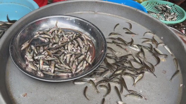 60 Giây Sáng ngày 26/8/2026 | TP. Hồ Chí Minh: Củ Chi ra mắt mô hình điểm tuyến đường 4.0 - Khu dân cư số văn minh, nghĩa tình - Ảnh 2.