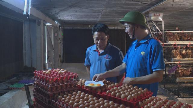 Liên kết, công nghệ nâng tầm ngành trứng gia cầm- Ảnh 1.