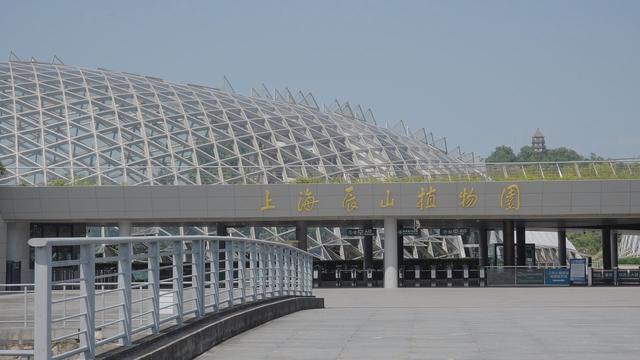 Trung Quốc: Triển lãm "Dương xỉ xuyên thời gian" - Ảnh 8.
