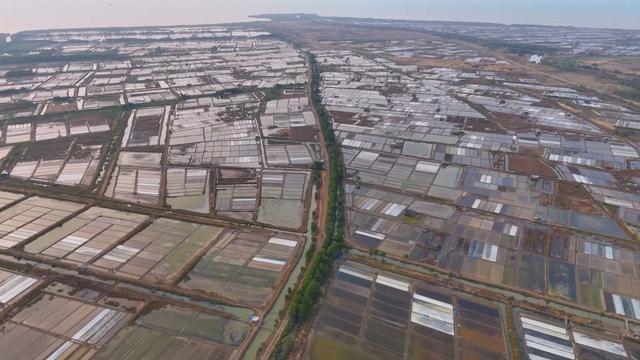 Tác động trái chiều của El Nino đối với ngành nông nghiệp Indonesia - Ảnh 1.