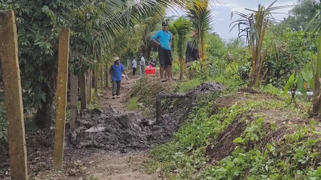 Triều cường làm sạt lở đê bao, ngập hơn 15 ha vườn cây ở Tân Phú  - Ảnh 2.
