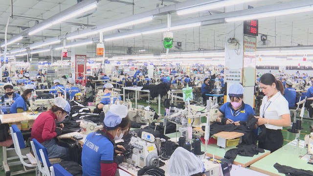 Vươn Khơi - Ngày 15/9/2026 | Tạo động lực từ phong trào thi đua - Ảnh 1.
