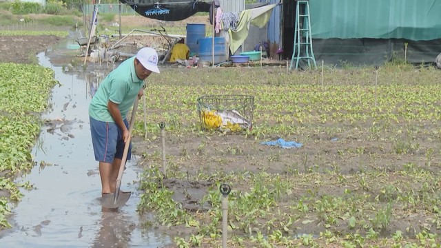 Bí thư Thành ủy TP. Hồ Chí Minh Trần Lưu Quang: Không có câu hỏi đạt được hay không mà phải làm thế nào để đạt được điều đó | Thời sự HTV ngày 21/9/2026 - Ảnh 3.