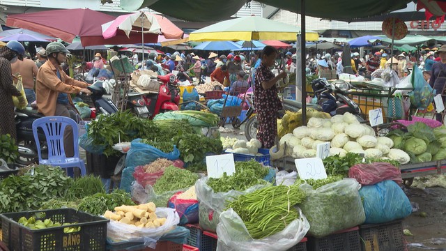 Giá rau chỉ tăng cục bộ, nguồn hàng từ Lâm Đồng dồi dào - Ảnh 1.