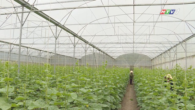 Nơi những phận đời cơ nhỡ được yêu thương | Vươn Khơi - Ngày 29/9/2026 - Ảnh 7.