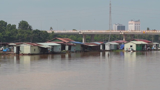 60 Giây Sáng ngày 8/9/2026 | Người dân miền Tây thu nhập ổn định nhờ bông súng mùa nước nổi - Ảnh 3.