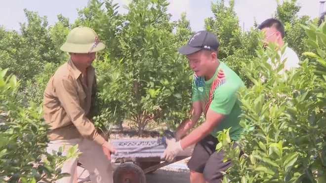 Hà Nội sớm ổn định cuộc sống sau bão số 11 - Ảnh 2.