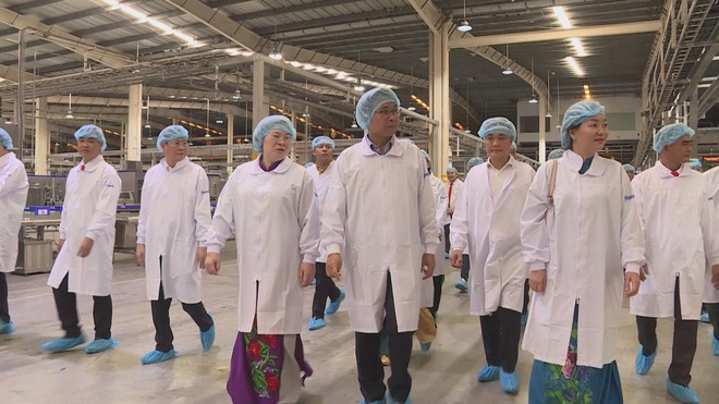 Đoàn đại biểu dự Đại hội Đảng bộ TP. Hồ Chí Minh tham quan mô hình kinh tế khu vực Bình Dương- Ảnh 1.