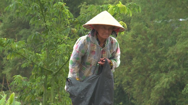Phương Quyên: Mồ côi cha, mẹ bỏ đi, cô bé nương tựa bà nội già yếu - Ảnh 1.