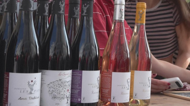 Pháp: Lễ hội thu hoạch nho Montmartre ở thủ đô Paris - Ảnh 1.