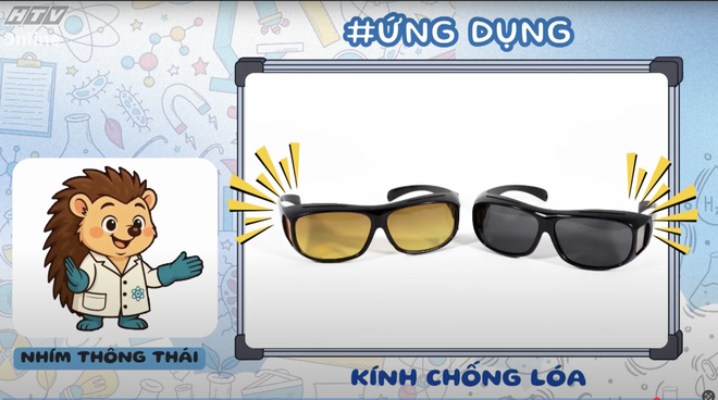 Khám phá bộ môn xe đạp - Ảnh 14.
