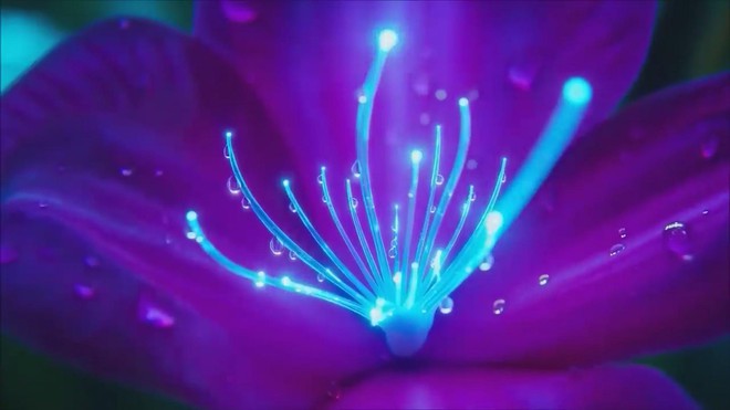 OpenAI phát hành Sora 2 và mạng xã hội cùng tên  - Ảnh 2.
