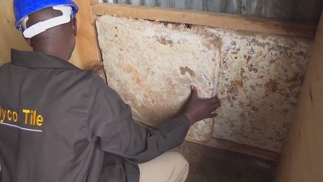 Biến nấm thành vật liệu xây dựng - Ảnh 2.