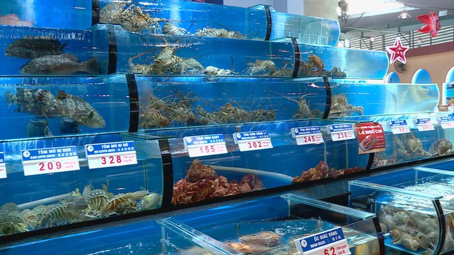 Chiến lược mới cho thị trường FnB tại TP. Hồ Chí Minh - Ảnh 2.