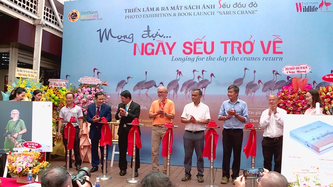 Sếu đầu đỏ và hành trình giữ lại nhịp thở thiên nhiên - Ảnh 4.
