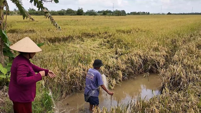 Như Quỳnh đi bộ 40 phút đến trường, tranh thủ nhặt ve chai - Mái ấm gia đình Việt- Ảnh 2. Như Quỳnh đi bộ 40 phút đến trường, tranh thủ nhặt ve chai - Mái ấm gia đình Việt- Ảnh 2.