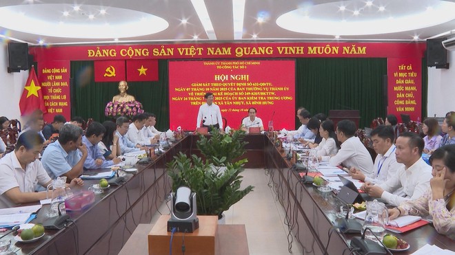 TP. Hồ Chí Minh: Tổ công tác số 1 giám sát việc vận hành chính quyền hai cấp tại các xã Bình Hưng và Tân Nhựt - Ảnh 1.