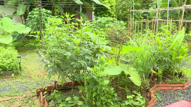 Ra mắt "Vườn cộng đồng" SOS: Nơi nuôi dưỡng tâm hồn cho các em nhỏ - Ảnh 1.