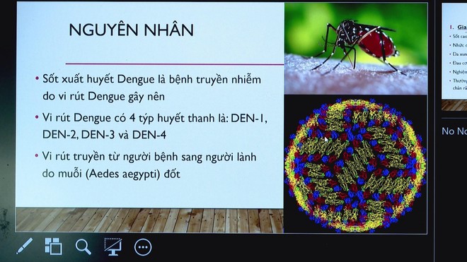 Phát động chiến dịch phòng chống sốt xuất huyết tại TP. Hồ Chí Minh - Ảnh 1.