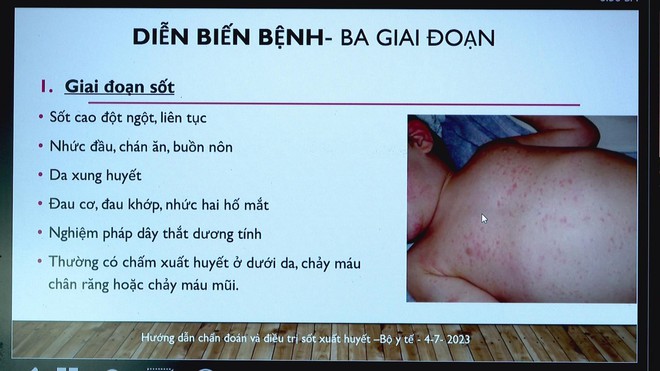 Phát động chiến dịch phòng chống sốt xuất huyết tại TP. Hồ Chí Minh - Ảnh 2.